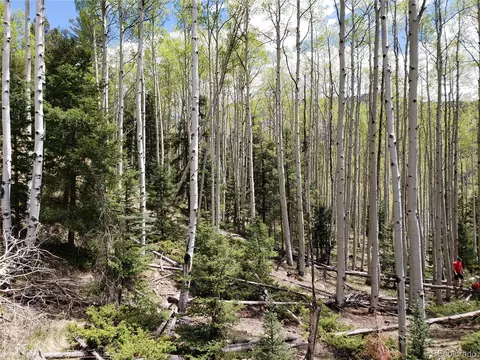 Tbd, Jasper, CO 81132 photo 9
