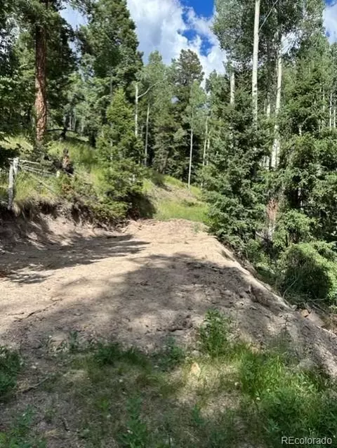 Tbd, Jasper, CO 81132 photo 6