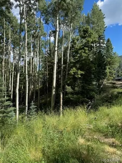 Tbd, Jasper, CO 81132