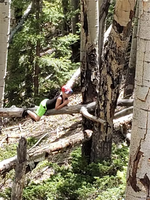 Tbd, Jasper, CO 81132 photo 7