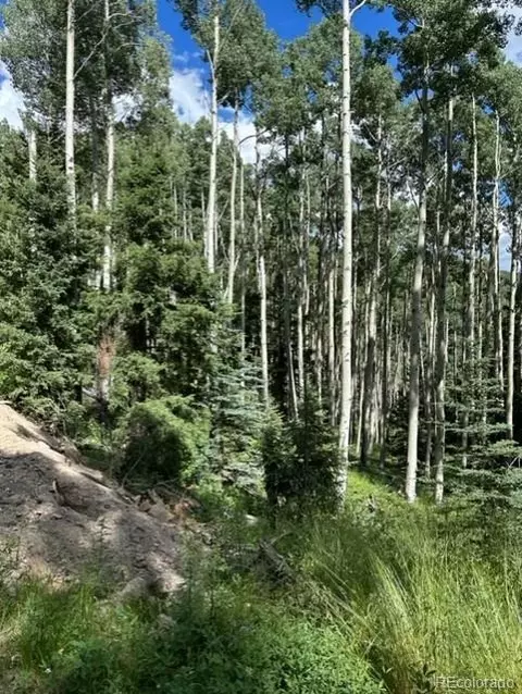 Tbd, Jasper, CO 81132 photo 2