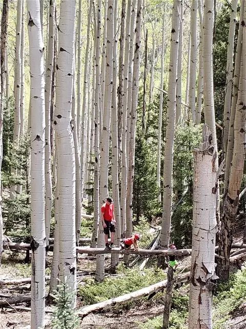 Tbd, Jasper, CO 81132 photo 8