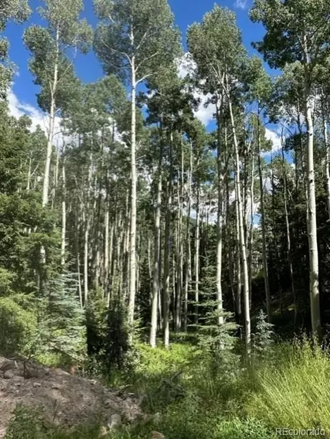 Tbd, Jasper, CO 81132 photo 5