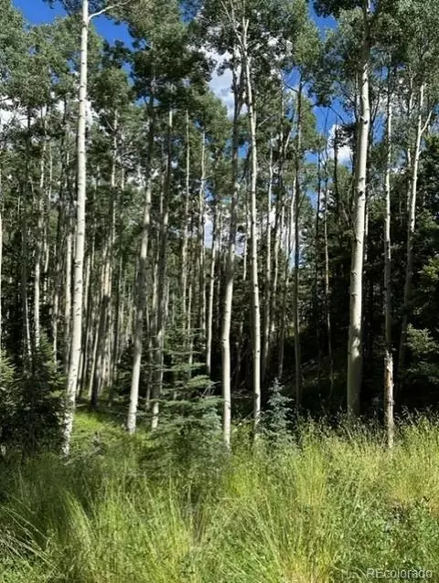 Tbd, Jasper, CO 81132 photo 3