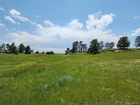 County Road 94, Elbert, CO 80106 photo 19