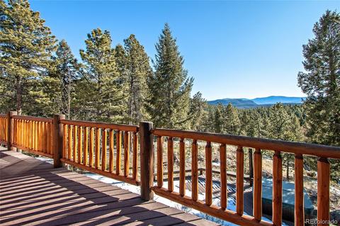 162 Lionsbrooke Ln, Pine, CO 80470 photo 13