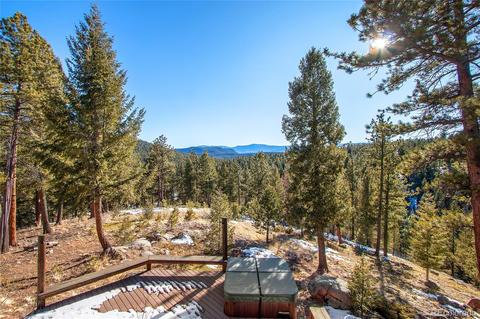 162 Lionsbrooke Ln, Pine, CO 80470 photo 14