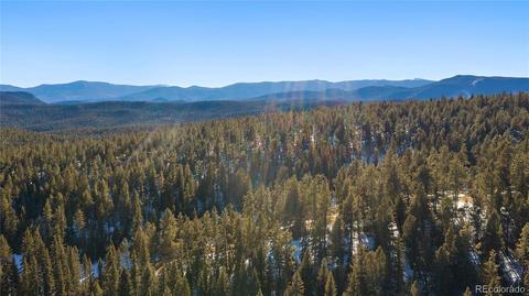 162 Lionsbrooke Ln, Pine, CO 80470 photo 40