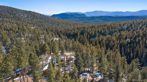 162 Lionsbrooke Ln, Pine, CO 80470 photo 5