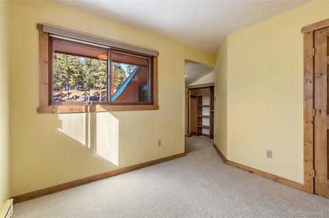 162 Lionsbrooke Ln, Pine, CO 80470 photo 23