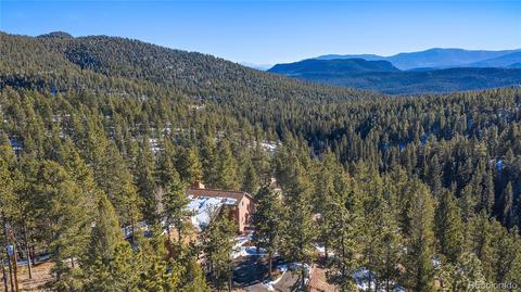 162 Lionsbrooke Ln, Pine, CO 80470 photo 4