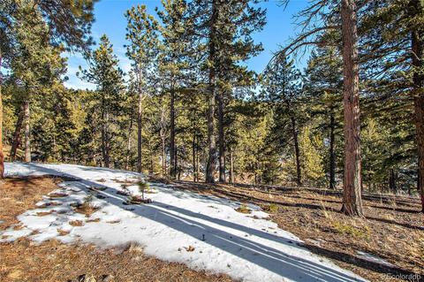 162 Lionsbrooke Ln, Pine, CO 80470 photo 36