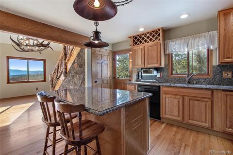 162 Lionsbrooke Ln, Pine, CO 80470 photo 8