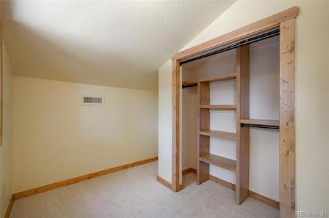 162 Lionsbrooke Ln, Pine, CO 80470 photo 24