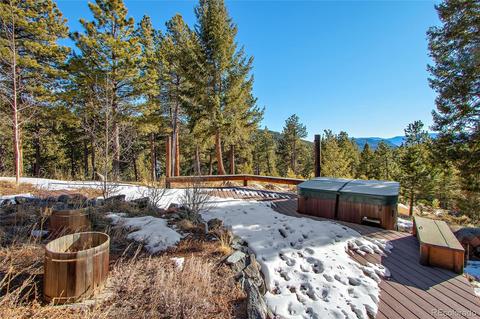 162 Lionsbrooke Ln, Pine, CO 80470 photo 33