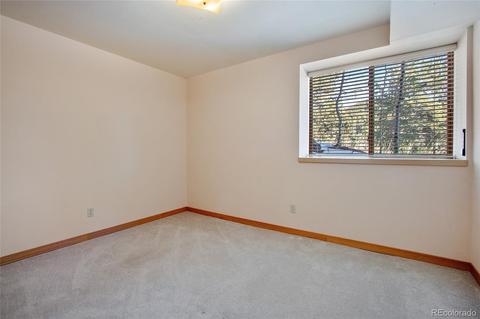 162 Lionsbrooke Ln, Pine, CO 80470 photo 30