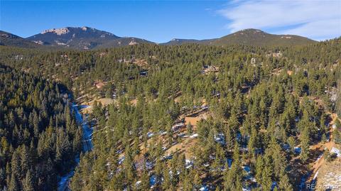 162 Lionsbrooke Ln, Pine, CO 80470 photo 39