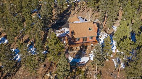 162 Lionsbrooke Ln, Pine, CO 80470 photo 38