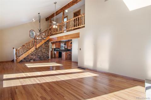 162 Lionsbrooke Ln, Pine, CO 80470 photo 11