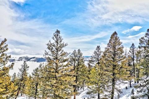 2833 Middle Fork Vis, Fairplay, CO 80440 photo 6