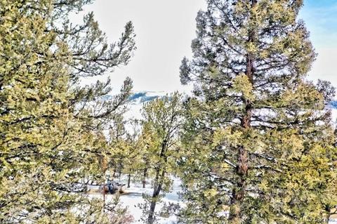 2833 Middle Fork Vis, Fairplay, CO 80440 photo 9