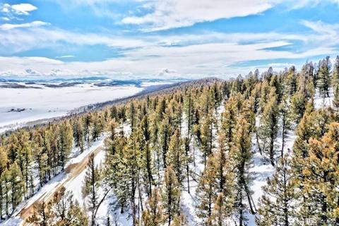 2833 Middle Fork Vis, Fairplay, CO 80440 photo 13
