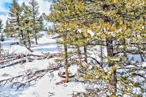 2833 Middle Fork Vis, Fairplay, CO 80440 photo 11