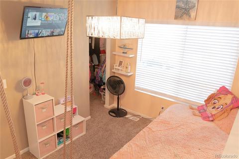 18666 E 46th Pl, Denver, CO 80249 photo 17