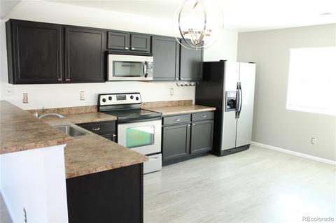 18666 E 46th Pl, Denver, CO 80249 photo 3