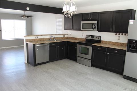 18666 E 46th Pl, Denver, CO 80249 photo 4