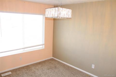 18666 E 46th Pl, Denver, CO 80249 photo 15