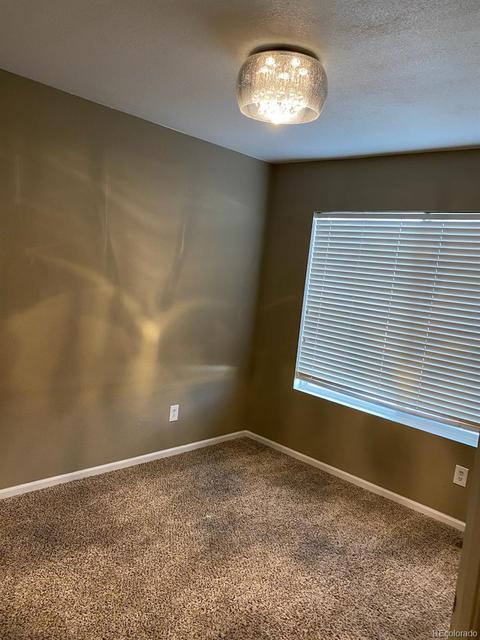 18666 E 46th Pl, Denver, CO 80249 photo 19
