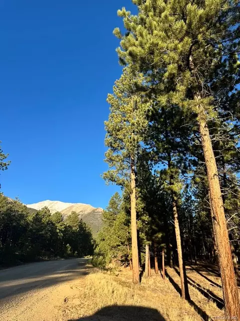 16703 Pine Grove Pkwy, Buena Vista, CO 81211