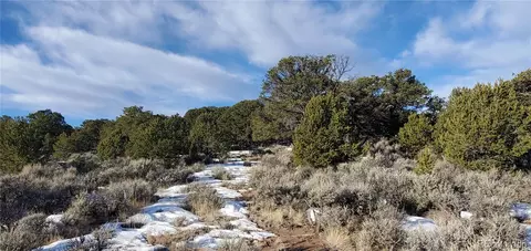 lot7265 Tiernan Rd, Fort Garland, CO 81133