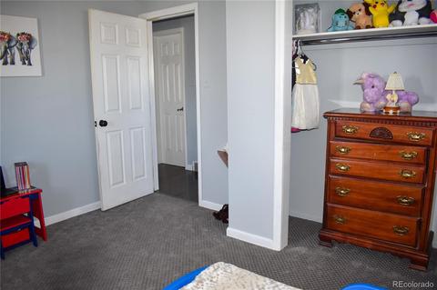 1061 E 83rd Pl, Denver, CO 80229 photo 13