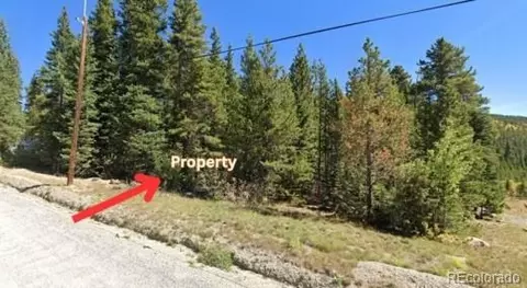 lot47 Silver Creek Rd, Idaho Springs, CO 80452