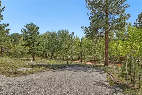 Exterior - 16 Mesa Ct, Bailey, CO 80421 photo 3 of 4
