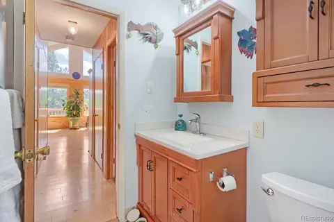 Bath - 16 Mesa Ct, Bailey, CO 80421 photo 3 of 3