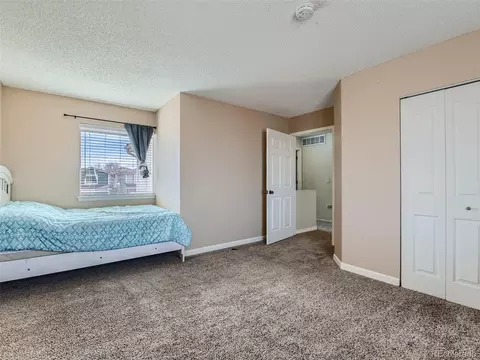 21395 E 40th Ave, Denver, CO 80249 photo 19