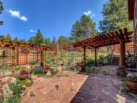 999 Yellow Pine Dr, Bailey, CO 80421 photo 3