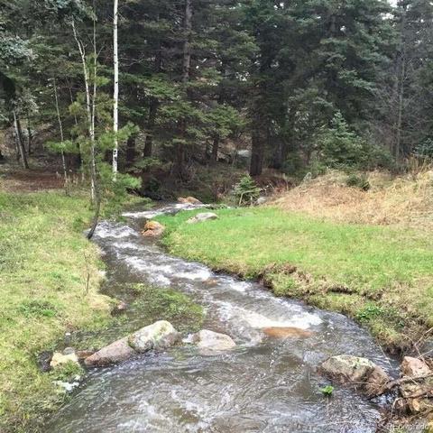 13380 S Foxton Rd, Conifer, CO 80433 photo 6