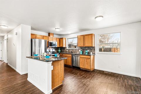 5552 Carson Way, Denver, CO 80239 photo 8