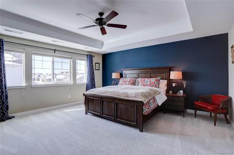 23068 E Narrowleaf Dr, Aurora, CO 80016 photo 20