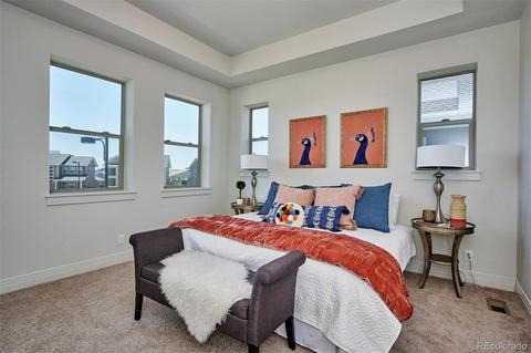 9191 E 59th North Pl, Denver, CO 80238 photo 20