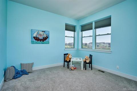 9191 E 59th North Pl, Denver, CO 80238 photo 23