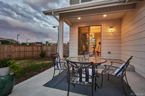 9191 E 59th North Pl, Denver, CO 80238 photo 31