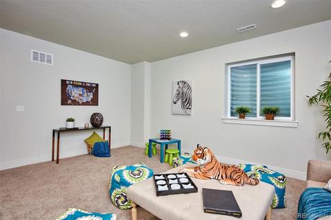 9191 E 59th North Pl, Denver, CO 80238 photo 28