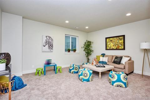 9191 E 59th North Pl, Denver, CO 80238 photo 27
