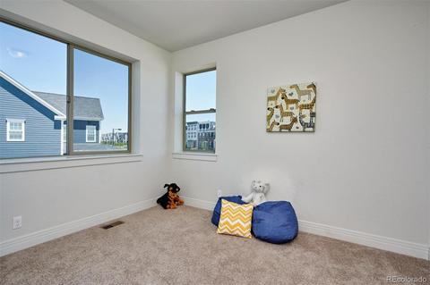 9191 E 59th North Pl, Denver, CO 80238 photo 26