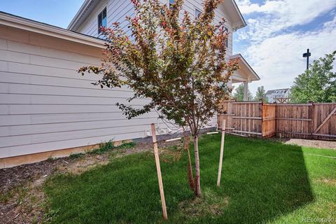 9191 E 59th North Pl, Denver, CO 80238 photo 34